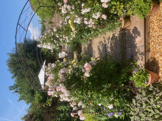 Harrowing Bowl winner