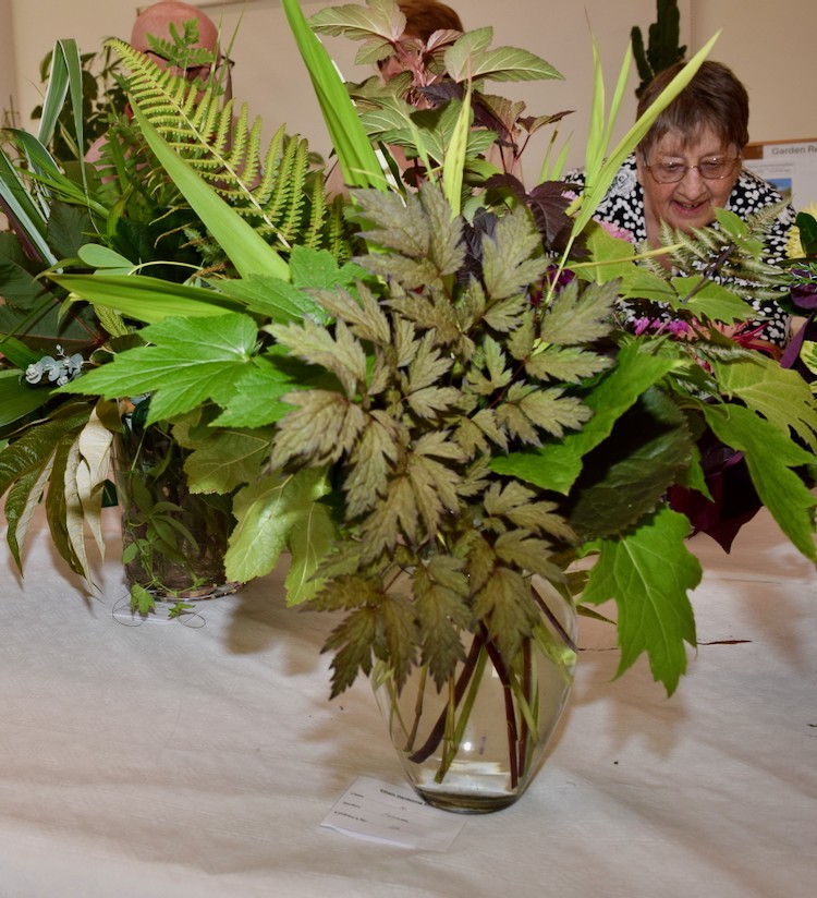 Best in show exhibit